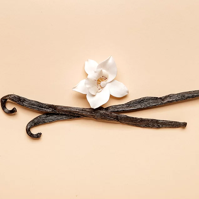 Vanilla, a Mexican treasure!