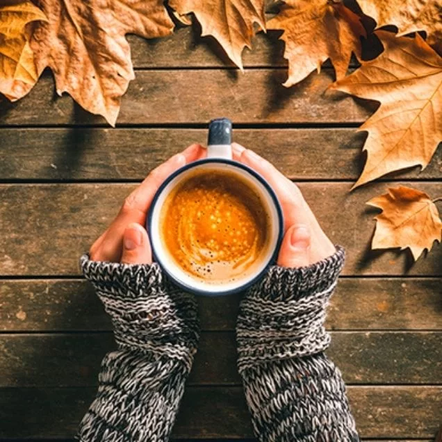 Cozy, warm drinks for a happy fall!